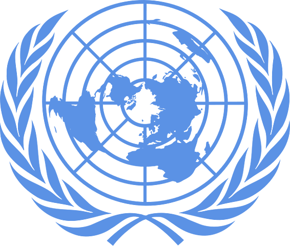 THE UNITED NATIONS
