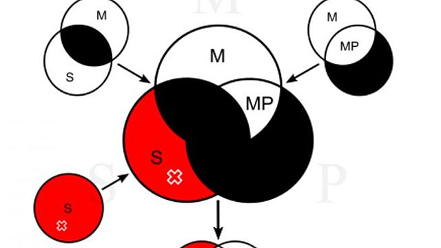 Primer paso hacia la I.A