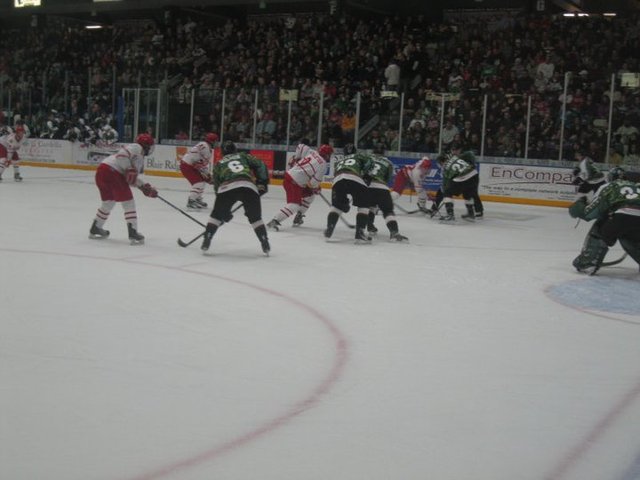 My first hockey game