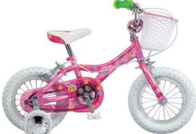 I learned to ride my bike.