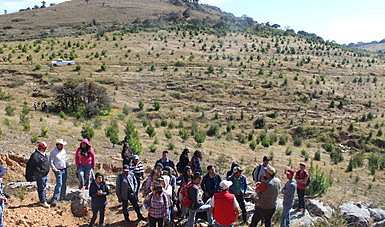 EJIDO COMO REPARACIÓN DE INJUSTICIA