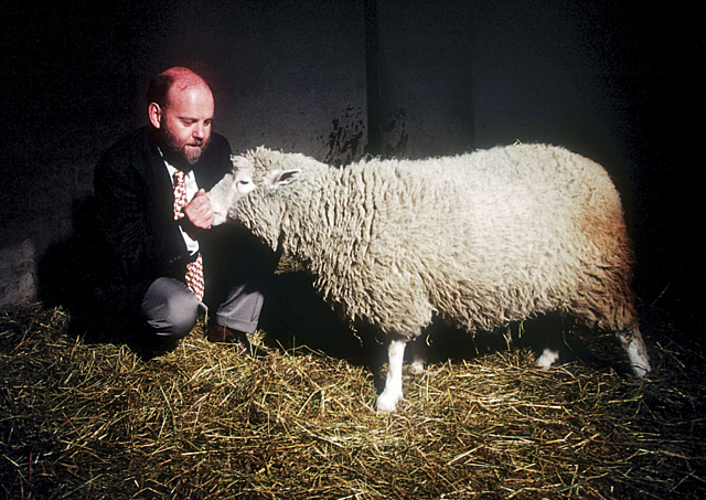 ⇩ Primera clonación: oveja Dolly