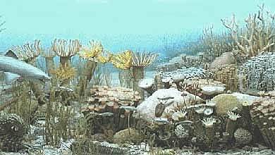 Período Arqueozoico