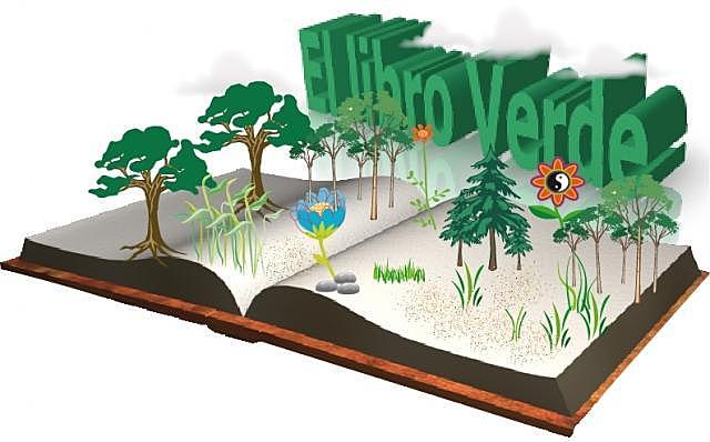 Libro Verde Sobre RSE