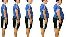 Timeline: Aumento de Obesidad