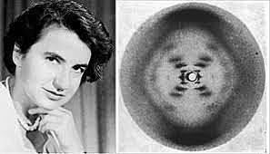 Rosalind Franklin photographs crystallized DNA Fibers