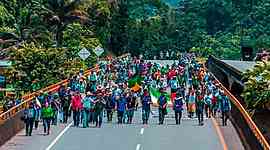 Timeline: Minga Indígena Del Cauca