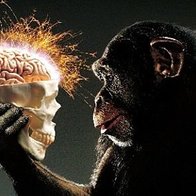 Timeline: teorias filosòficas