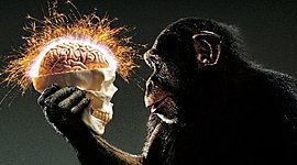 Timeline: teorias filosòficas