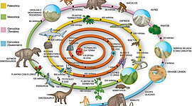 Timeline: Eras Geológicas