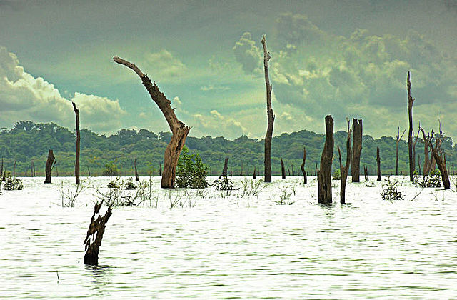 Inundación,Desbordamiento del Amazonas