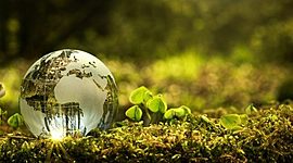 Timeline: Medio Ambiente