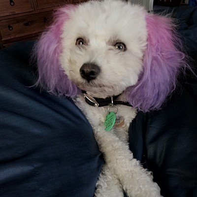 Timeline: Engineering industry for Mavericks