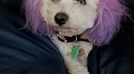 Timeline: Engineering industry for Mavericks