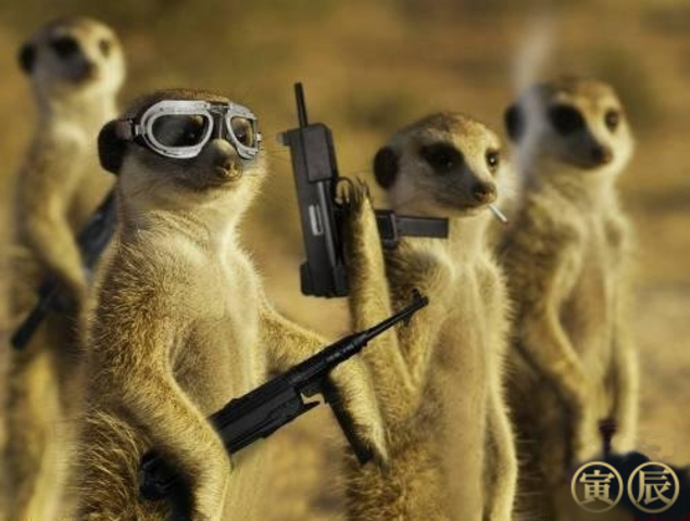 Els exs amics de l'Oximoron delincuents.