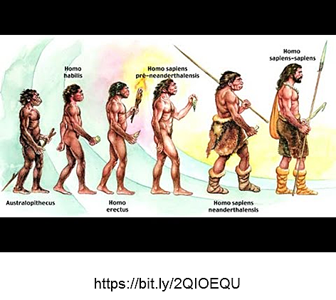 Aparecimento do ser humano