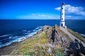 Galiziako lurrak birpopulatzeko prozezuan.