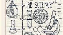 Timeline: Marta, Blanca y Salu
