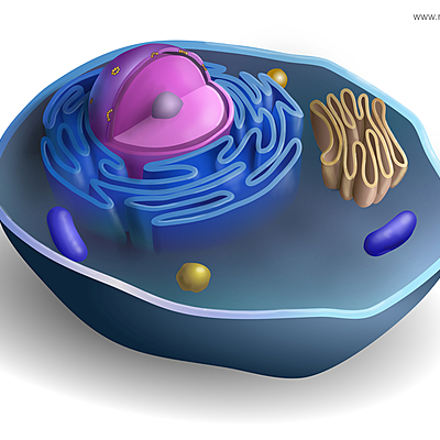 Timeline: PoK 1.1 (Choice 4)