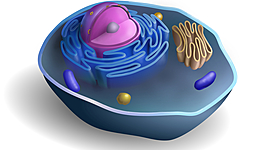 Timeline: PoK 1.1 (Choice 4)