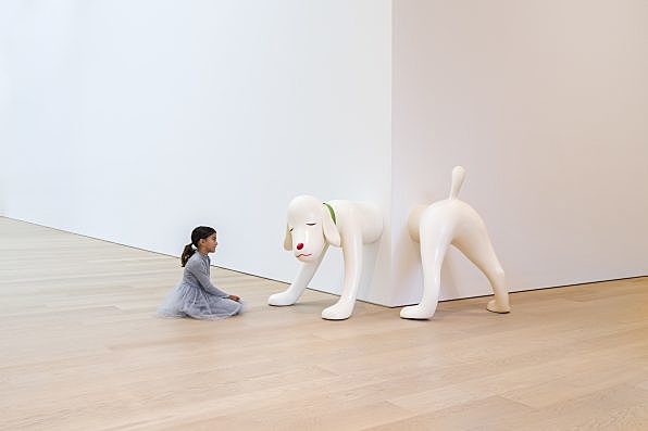 Dog from Screen Memory