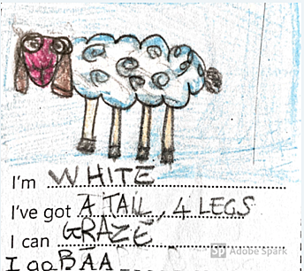 Animals descriptions