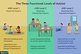 Classification of Autism