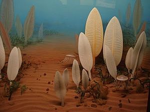 Era: Precámbrico (4.600-540 millones de años)