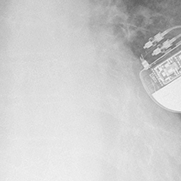 Anna's Autopsy: External Examination Part 4