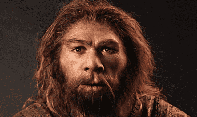 HOMO ANTECESSOR