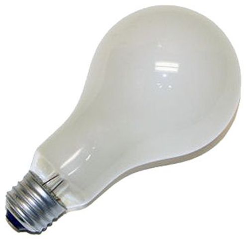 The Frosted Lightbulb