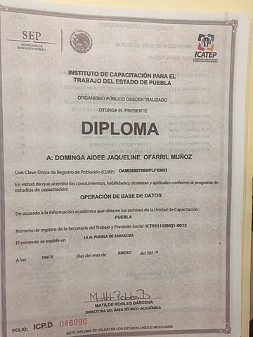 Curso: Operación de Base de Datos