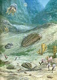 PALEOZOICO-CÁMBRICO (541 M.a)