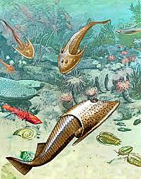 PALEOZOICO- ORDOVÍCICO (485 M.a)