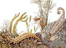 PALEOZOICO-CARBONÍFERO (359 M.a)