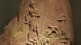 Timeline: Salud Comunitaria (Historia)