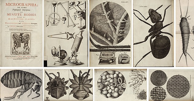 hooke publica micrographia