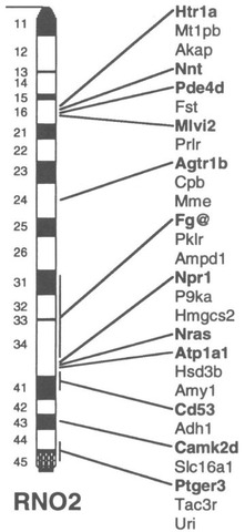 Gene mapping techniques to identify genes