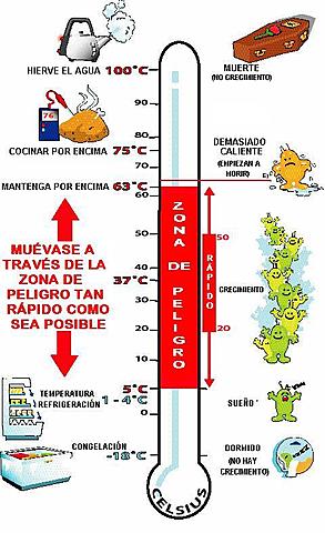 tratamiento termico para evitar el crecimiento de los microorganismos