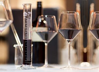 fermentacion alcoholica