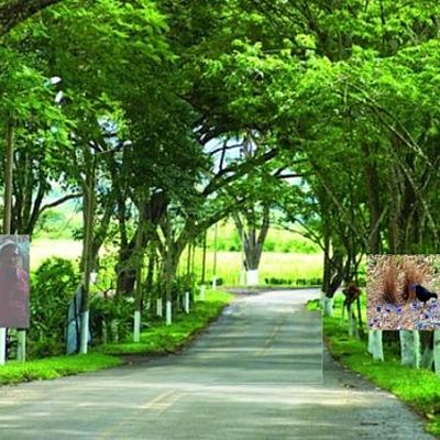 Timeline: Historia de Viterbo