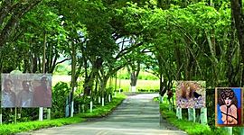 Timeline: Historia de Viterbo