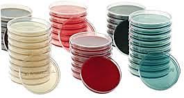 Método de cultivos enriquecidos