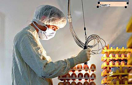 CULTIVACION DE VIRUS EXITOSAS