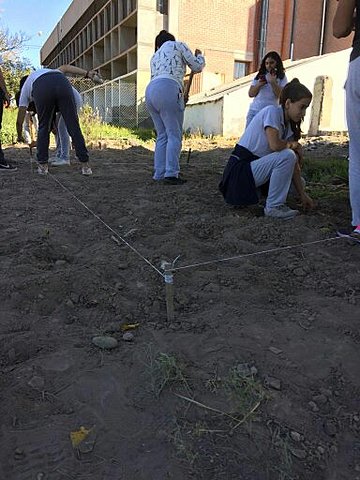 Preparando la tierra del patio