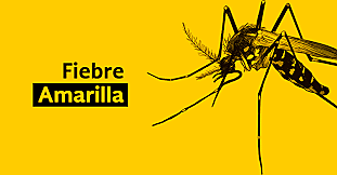 Fiebre amarilla
