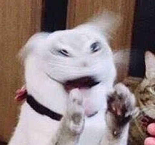 The Battle of France (AKA the fall of France)