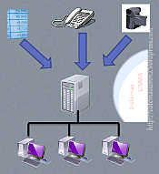 Evolucionan las redes