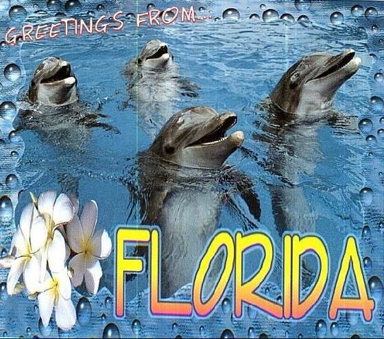 first time to seaworld in florida