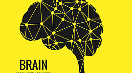 Timeline: Foro ¿De dónde viene y para dónde va el cerebro?